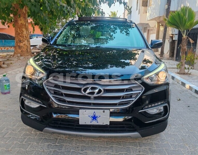 Big with watermark hyundai santa fe dakar dakar 30622