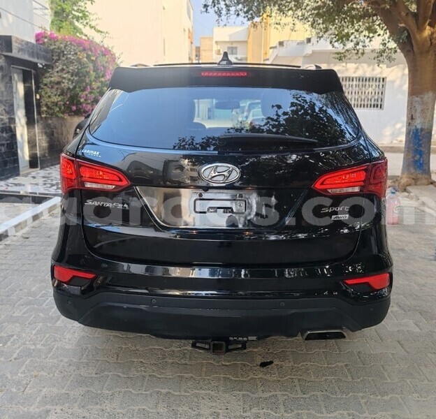 Big with watermark hyundai santa fe dakar dakar 30622