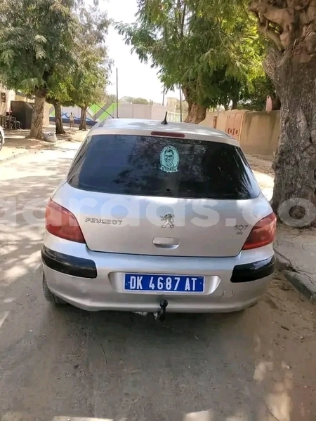 Big with watermark peugeot 307 dakar dakar 31335