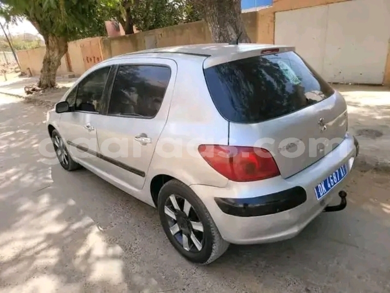 Big with watermark peugeot 307 dakar dakar 31335