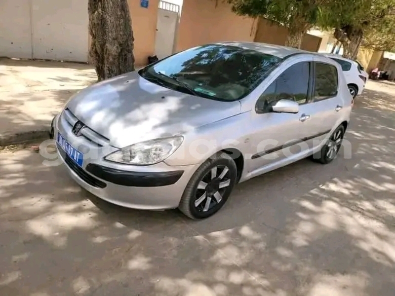 Big with watermark peugeot 307 dakar dakar 31335