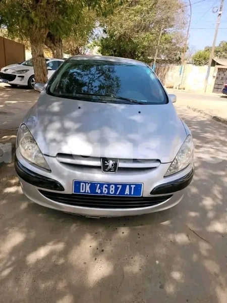 Big with watermark peugeot 307 dakar dakar 31335