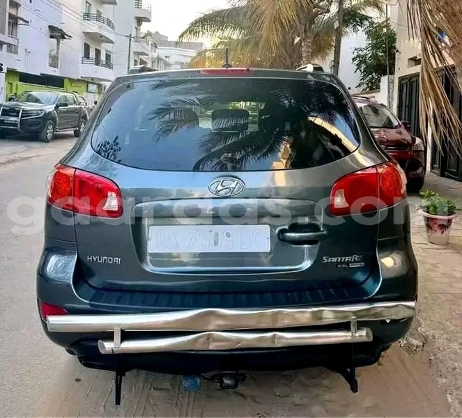 Big with watermark hyundai santa fe dakar dakar 31338