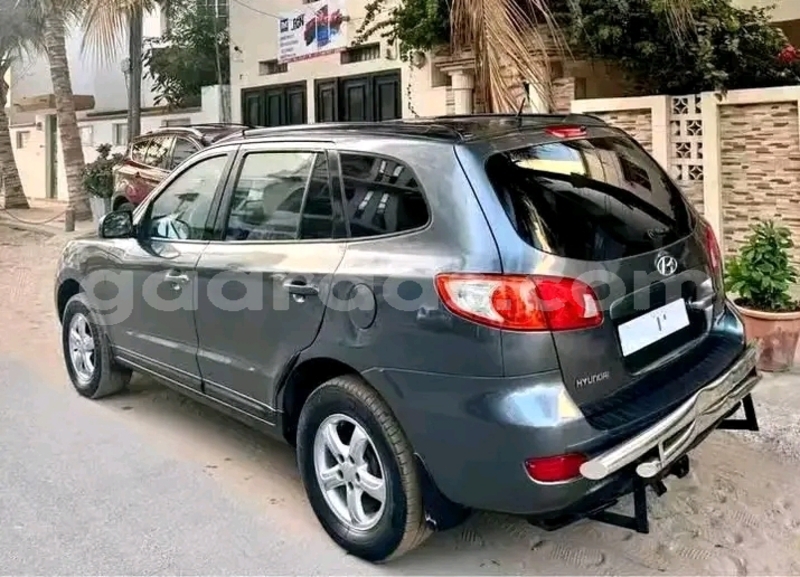 Big with watermark hyundai santa fe dakar dakar 31338