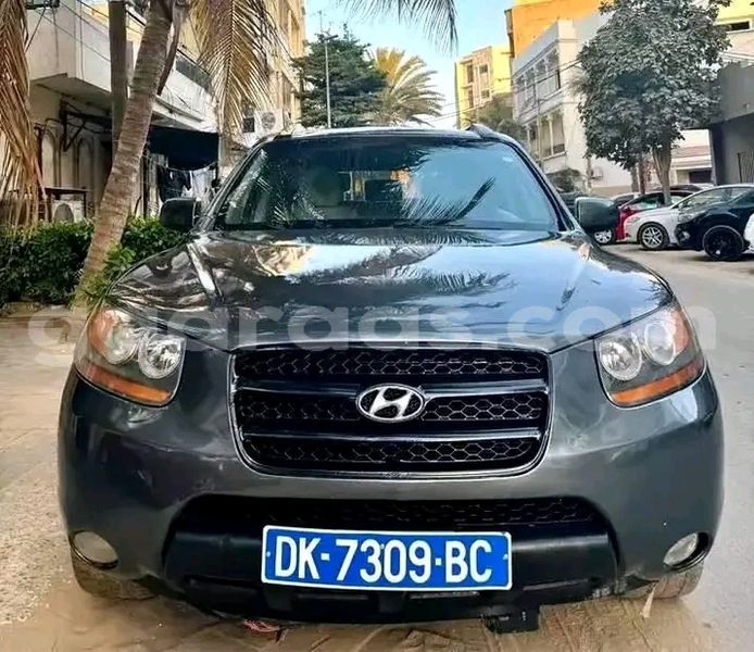 Big with watermark hyundai santa fe dakar dakar 31338