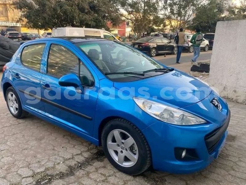 Big with watermark peugeot 207 dakar dakar 31340