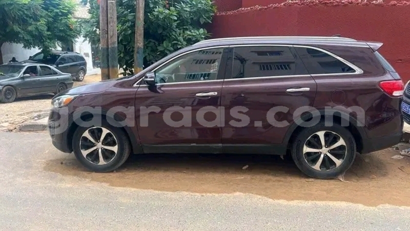 Big with watermark kia sorento dakar dakar 31351