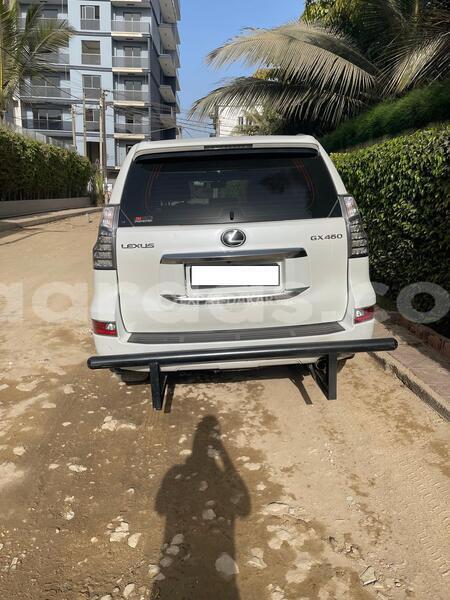 Big with watermark lexus gx dakar dakar 31520