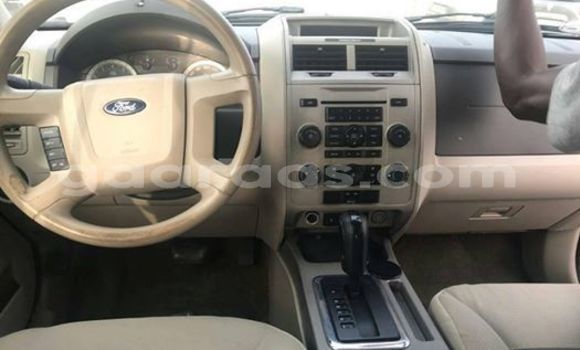 Acheter Occasion Voiture Ford Escape Gris à Dakar, Dakar Acheter Occasion Voiture Ford Escape Gris à Dakar, Dakar