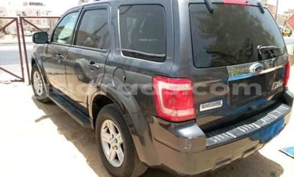 Dieundeu Occasion Ford Escape Black Auto in Dakar in Dakar Dieundeu Occasion Ford Escape Black Auto in Dakar in Dakar