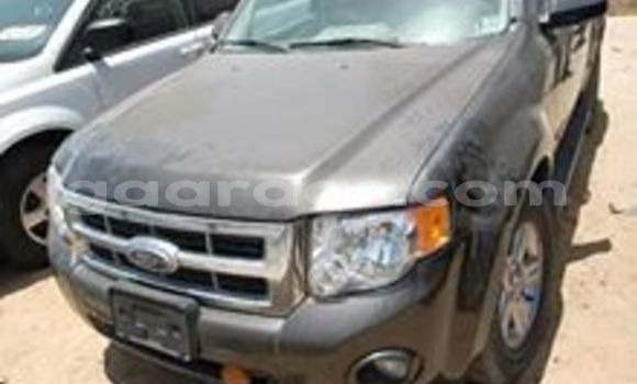 Dieundeu Occasion Ford Escape Black Auto in Dakar in Dakar Dieundeu Occasion Ford Escape Black Auto in Dakar in Dakar