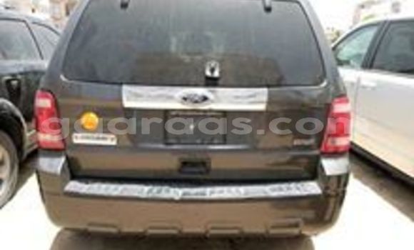 Dieundeu Occasion Ford Escape Black Auto in Dakar in Dakar Dieundeu Occasion Ford Escape Black Auto in Dakar in Dakar