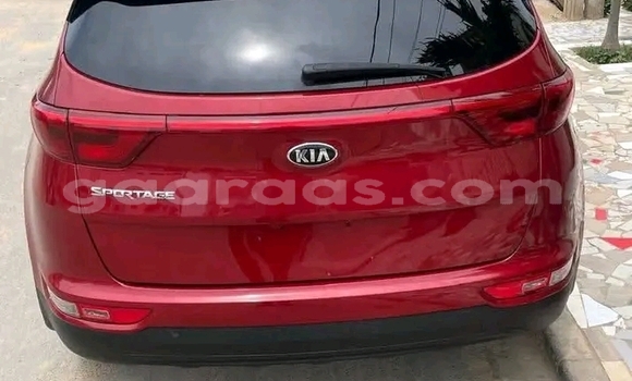 Dieundeu Occasion Kia Sportage Red Auto in Dakar in Dakar Dieundeu Occasion Kia Sportage Red Auto in Dakar in Dakar