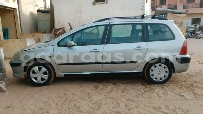 Big with watermark peugeot 307 dakar dakar 32054