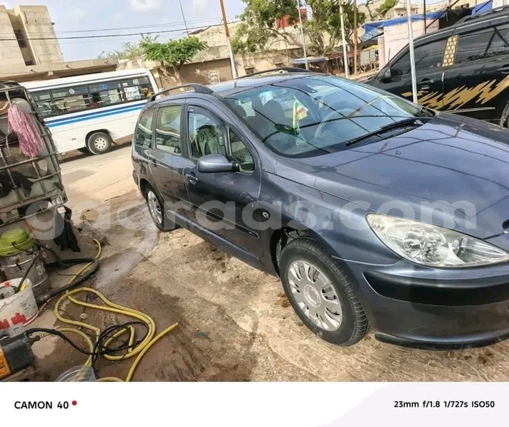 Big with watermark peugeot 307 dakar dakar 32058