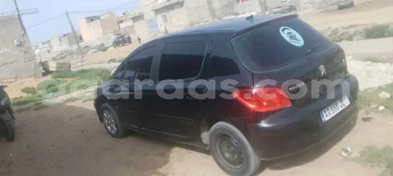 Big with watermark peugeot 307 dakar dakar 32063