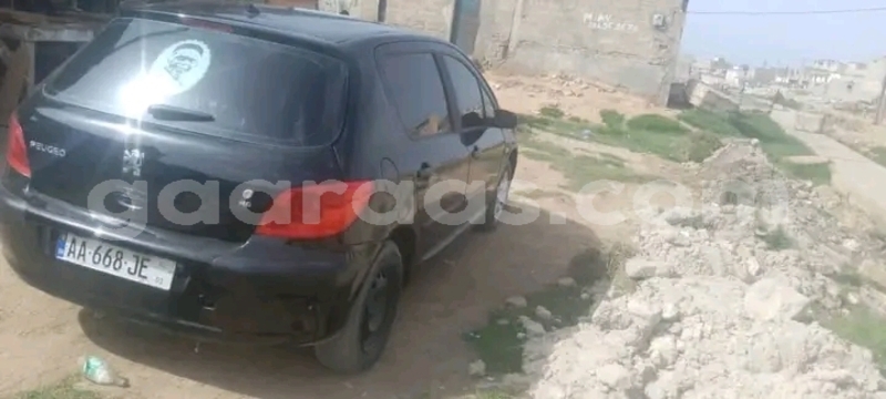 Big with watermark peugeot 307 dakar dakar 32063