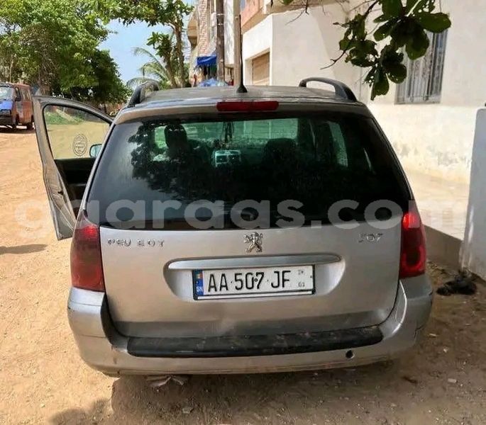 Big with watermark peugeot 307 dakar dakar 32083