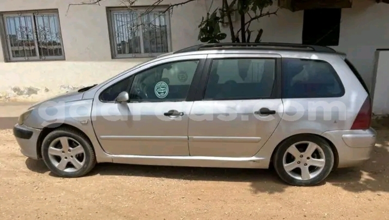 Big with watermark peugeot 307 dakar dakar 32083