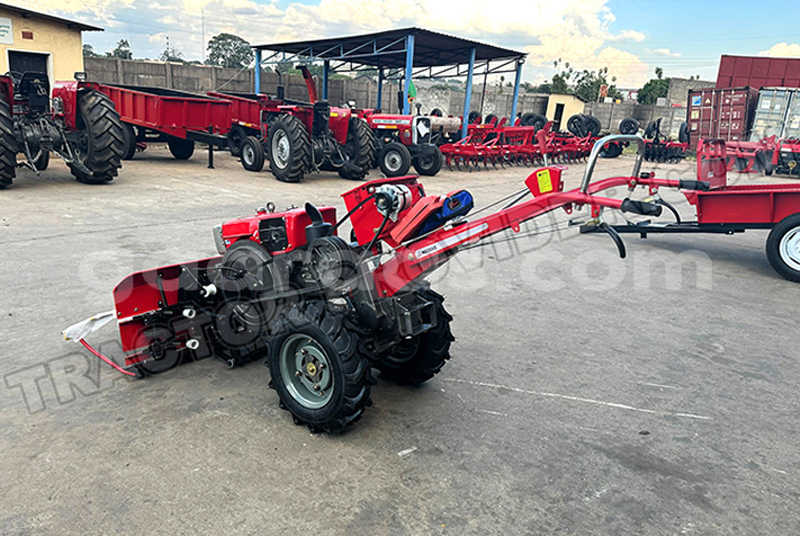 Big with watermark mini one dakar dakar 32106