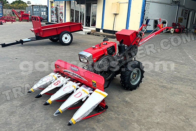 Big with watermark mini one dakar dakar 32106