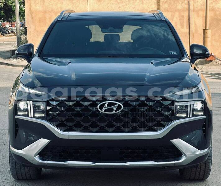 Big with watermark hyundai santa fe dakar dakar 32142