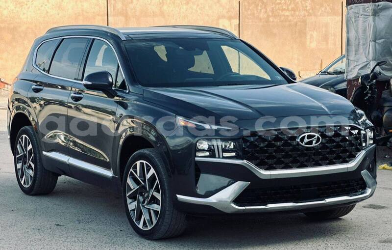 Big with watermark hyundai santa fe dakar dakar 32142