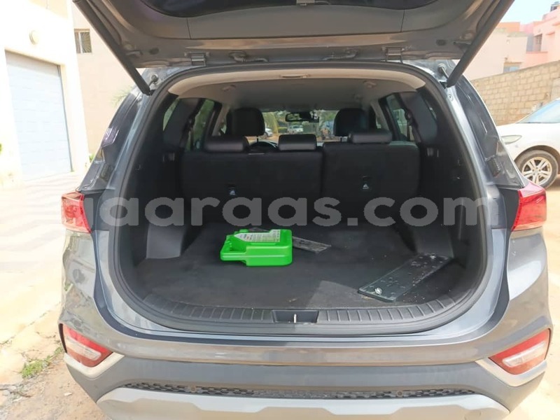 Big with watermark hyundai santa fe dakar dakar 32278