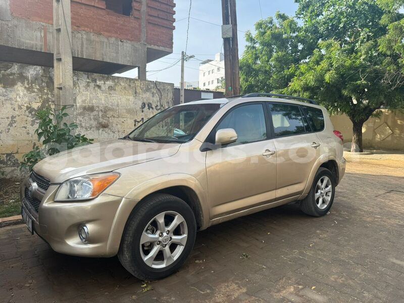 Big with watermark toyota rav4 dakar dakar 32332