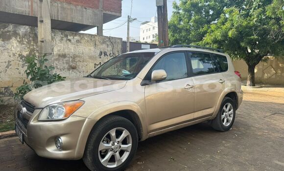 Acheter Occasion Voiture Toyota RAV4 Beige à Dakar, Dakar