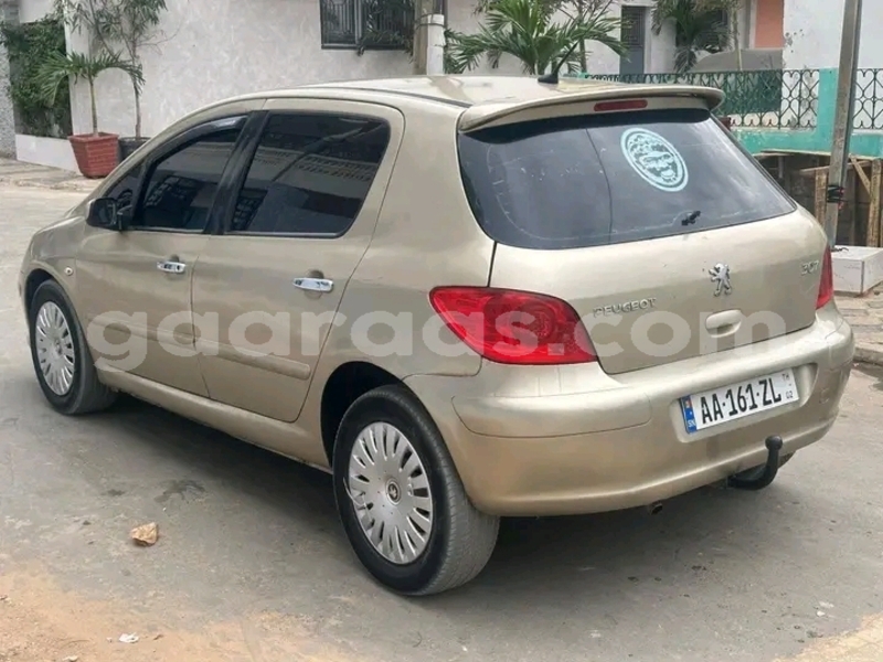 Big with watermark peugeot 307 dakar dakar 32641