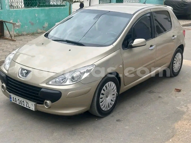 Big with watermark peugeot 307 dakar dakar 32641