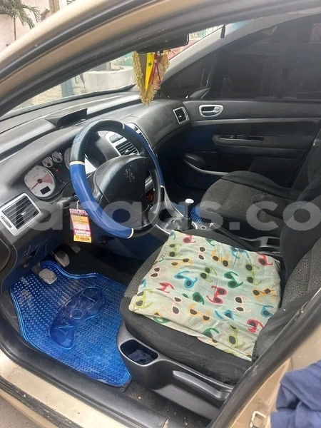 Big with watermark peugeot 307 dakar dakar 32641