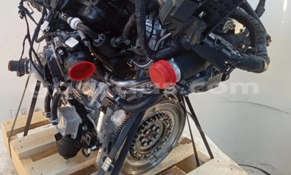 Medium with watermark s l16002