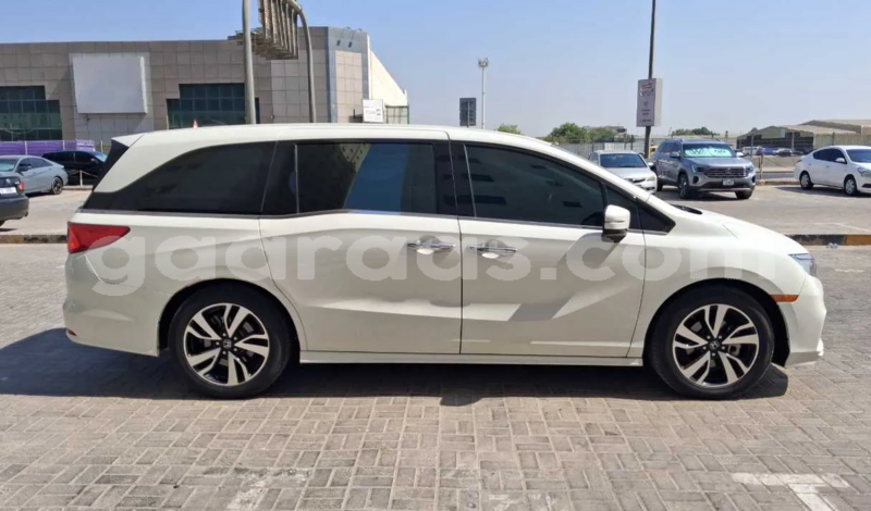 Big with watermark honda odyssey dakar dakar 32667
