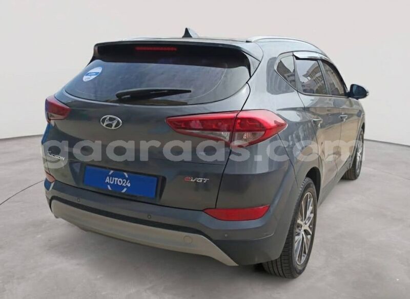 Big with watermark hyundai tucson dakar dakar 32719