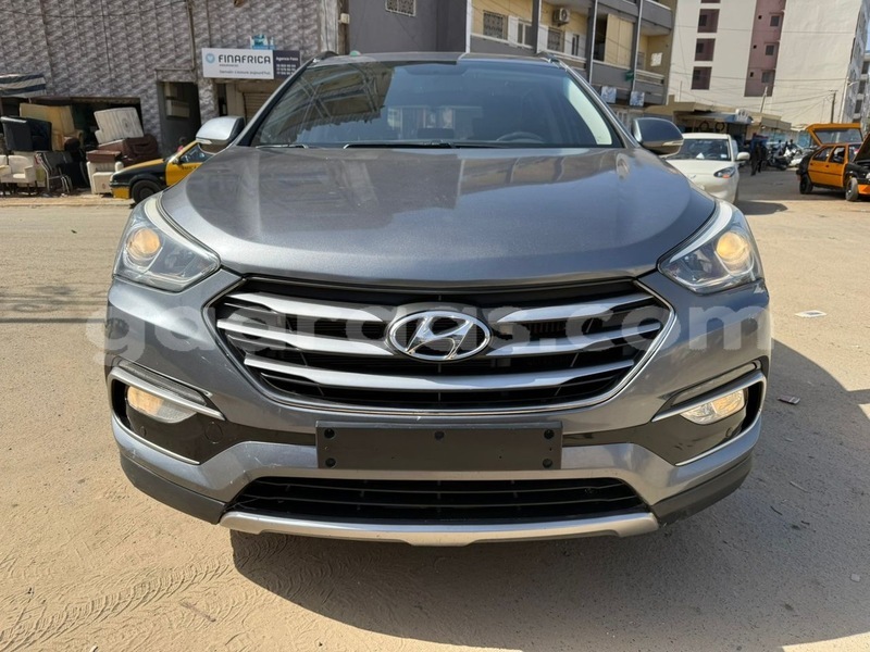 Big with watermark hyundai santa fe dakar dakar 32742