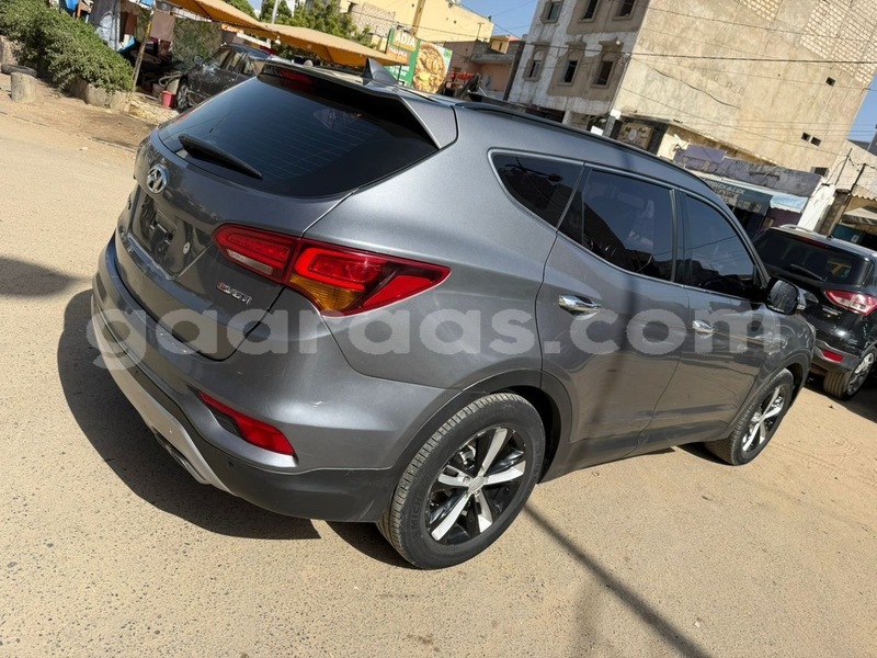 Big with watermark hyundai santa fe dakar dakar 32742