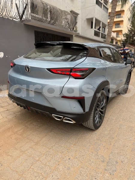 Big with watermark chana benni dakar dakar 32744