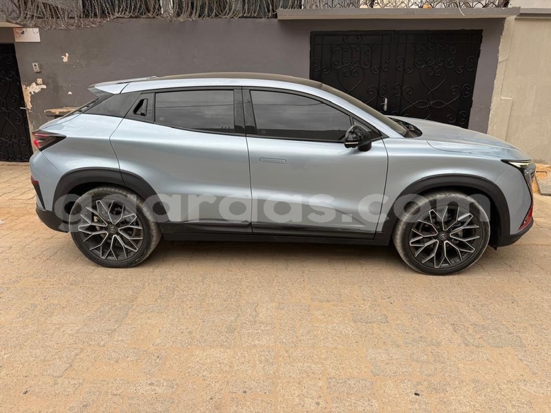 Big with watermark chana benni dakar dakar 32744