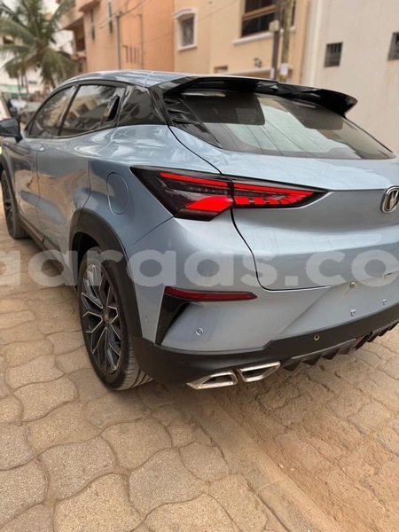 Big with watermark chana benni dakar dakar 32744