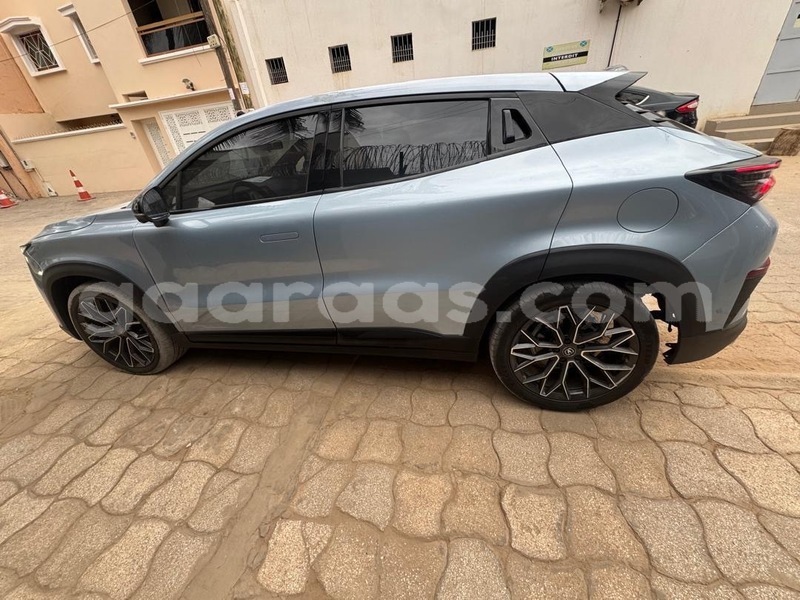 Big with watermark chana benni dakar dakar 32744