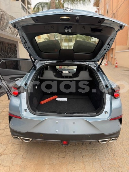 Big with watermark chana benni dakar dakar 32744