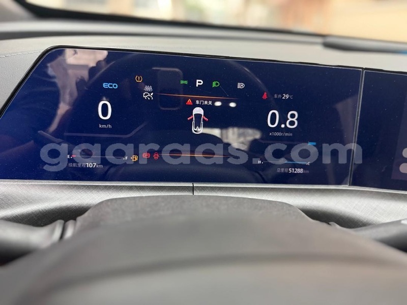 Big with watermark chana benni dakar dakar 32744