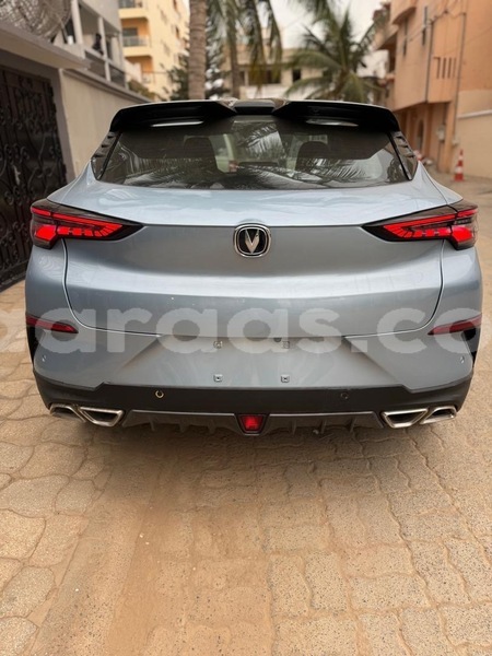 Big with watermark chana benni dakar dakar 32744