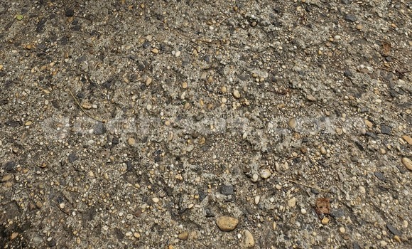 Acheter Occasion Voiture Nissan X–Trail Light-gray à Dakar, Dakar Acheter Occasion Voiture Nissan X–Trail Light-gray à Dakar, Dakar