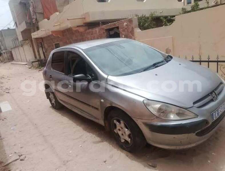 Big with watermark peugeot 307 dakar dakar 32798