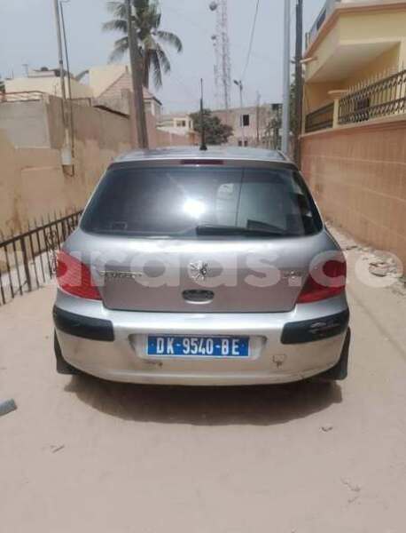 Big with watermark peugeot 307 dakar dakar 32798