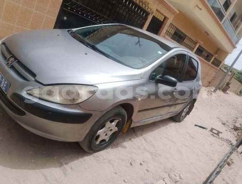 Big with watermark peugeot 307 dakar dakar 32798