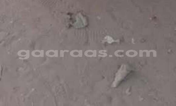 Acheter Occasion Voiture Peugeot 505 Autre à Dakar, Dakar Acheter Occasion Voiture Peugeot 505 Autre à Dakar, Dakar